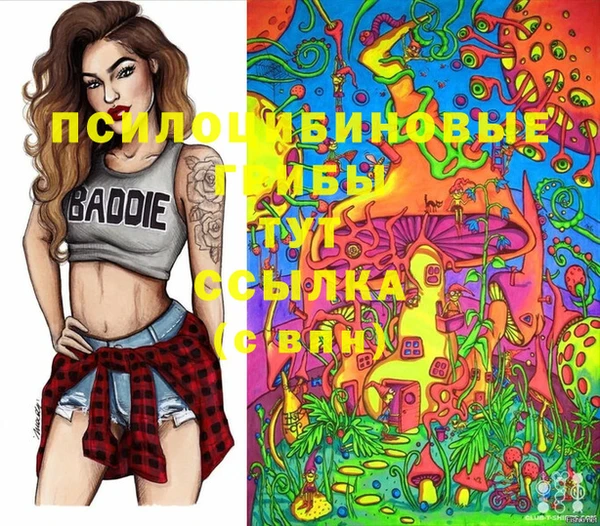 не бодяженный Арсеньев