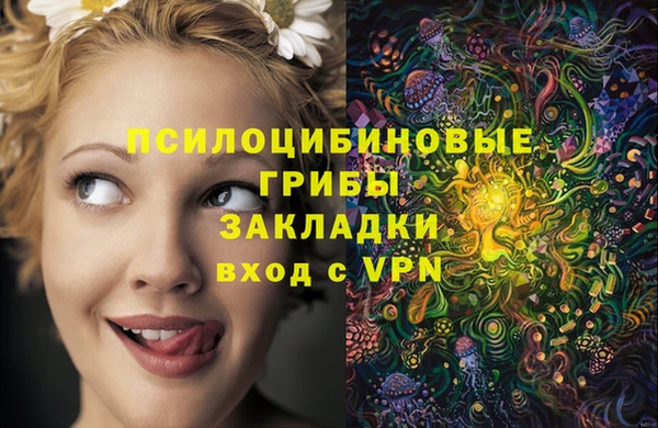 гидра Алексин
