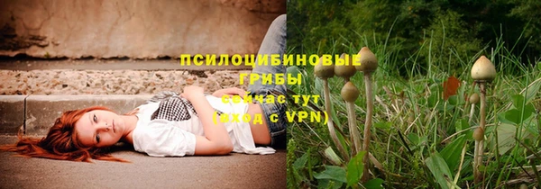кристаллы Алзамай