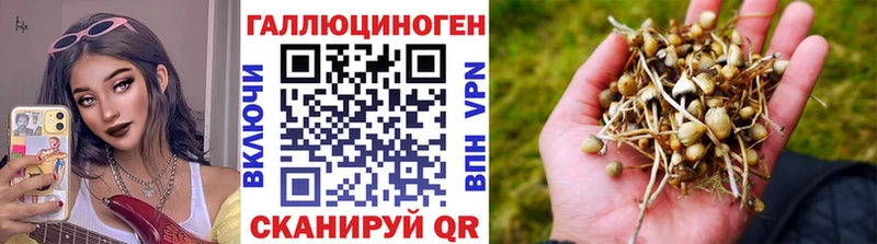 хочу наркоту  Лахденпохья  Псилоцибиновые грибы прущие грибы 